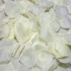 100 VANILLE FARBBLÄTTER Dieser Artikel besteht aus 100 Vanilleblüten. Überraschen Sie Ihren Partner