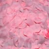 100 ROSA FARBBLÄTTER Dieser Artikel besteht aus 100 rosa Blütenblättern. Überraschen Sie Ihren Partner