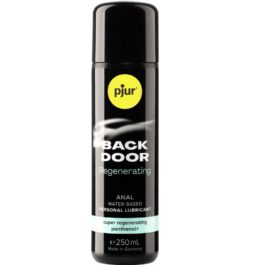 PJUR – BACK DOOR ANAL REGENERIERENDE PANTHENOL-WASSERBASIS 250 ML